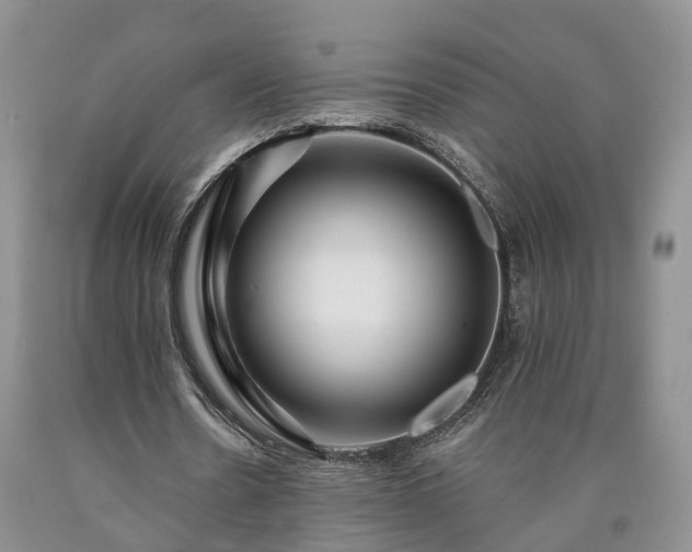 X0000090610530200707241108