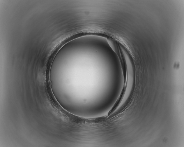 X0000090610531200707241108