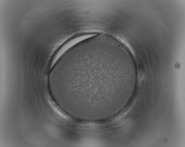 X0000090610533200707241108