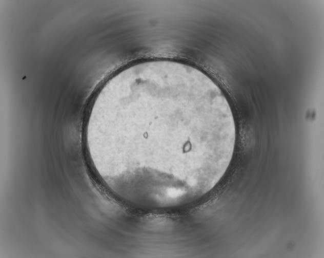 X0000090610534200707241108