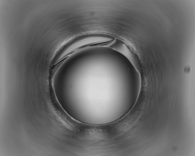 X0000090610535200707241108