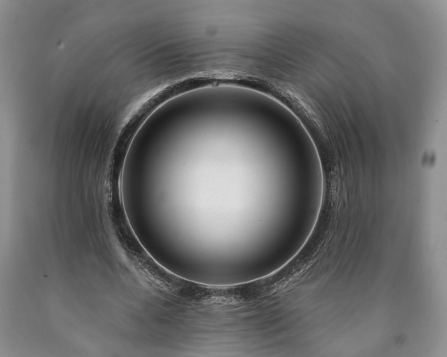 X0000090610536200707241109