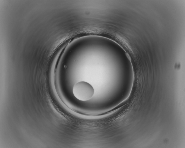 X0000090610538200707241109