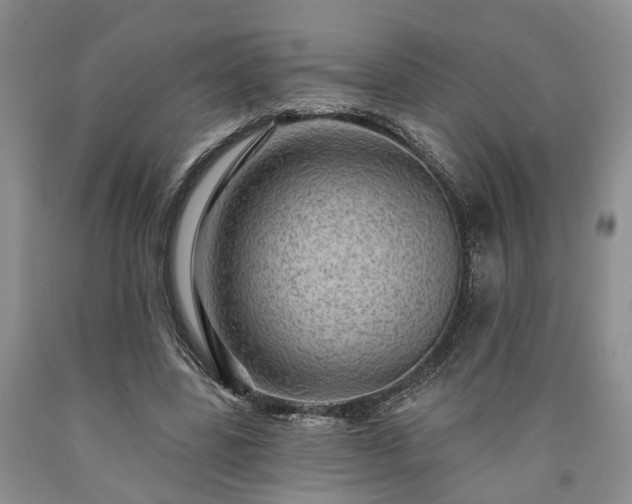 X0000090610539200707241109