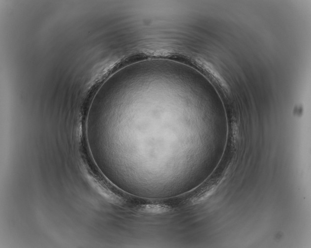 X0000090610541200707241109