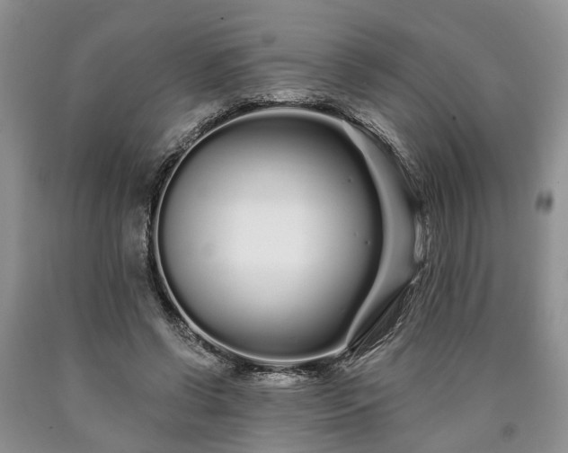 X0000090610542200707241109