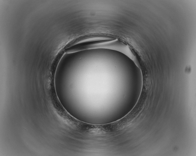 X0000090610544200707241109