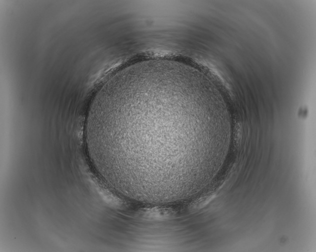 X0000090610545200707241109