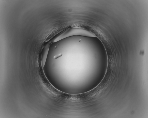 X0000090610546200707241109