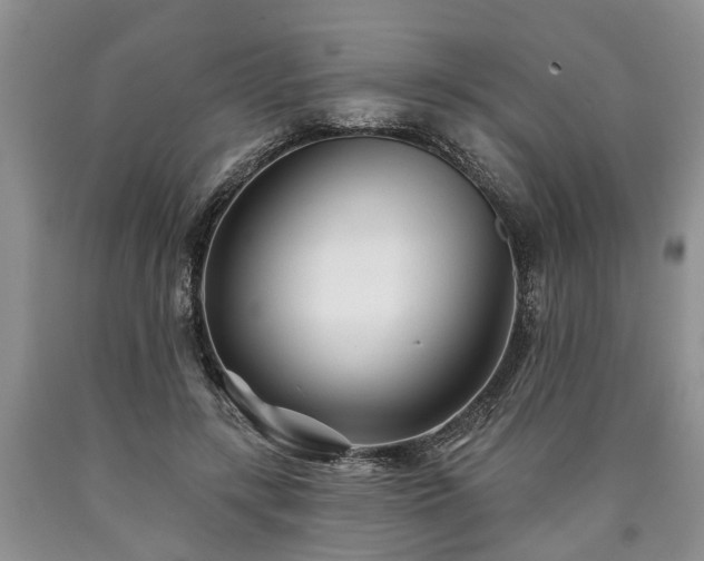 X0000090610547200707241109