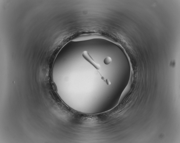 X0000090610548200707241109