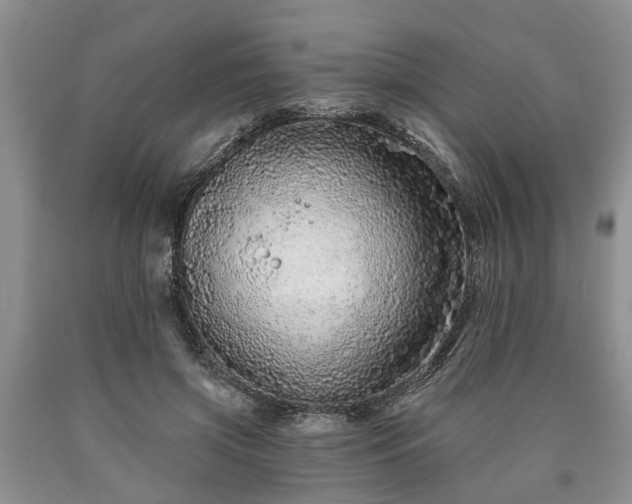 X0000090610549200707241109