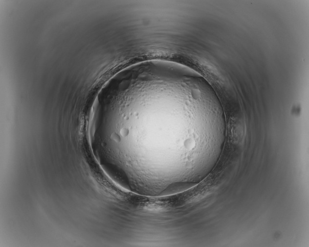 X0000090610550200707241109