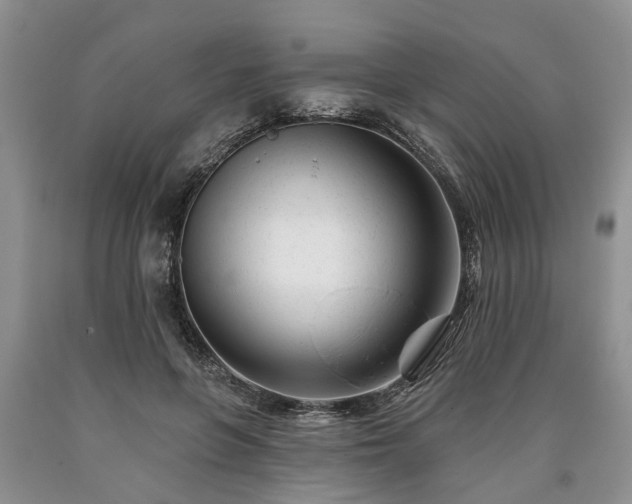 X0000090610551200707241109