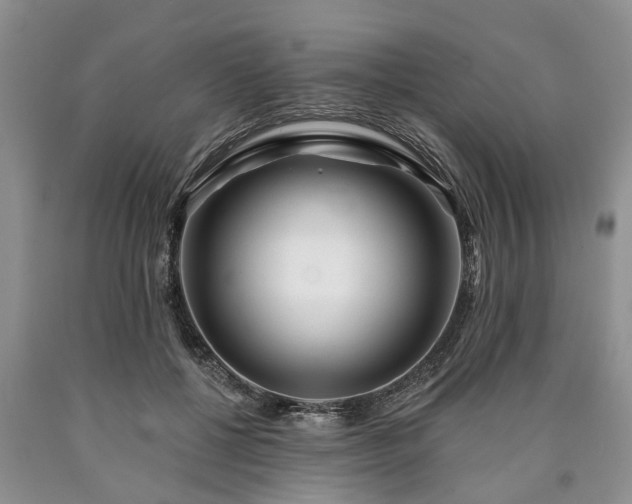 X0000090610552200707241109