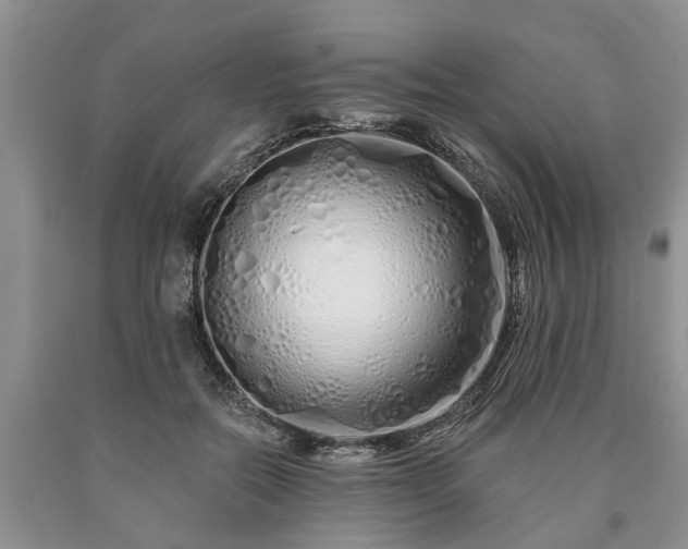 X0000090610554200707241109