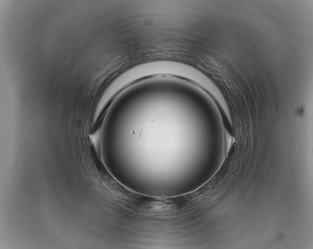 X0000090610555200707241109