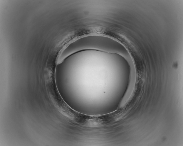 X0000090610556200707241109