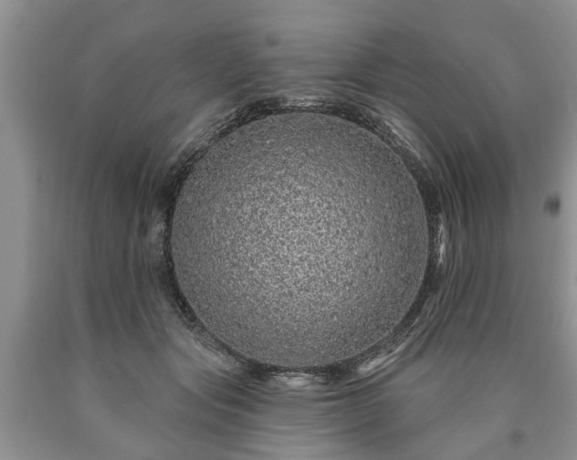 X0000090610557200707241109