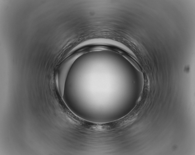 X0000090610558200707241109