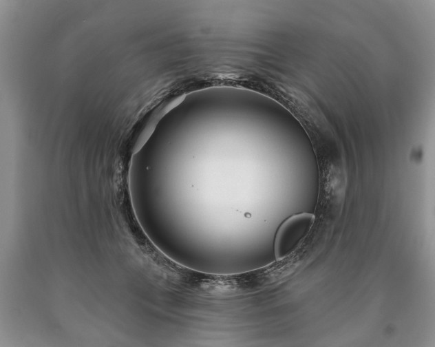 X0000090610559200707241109