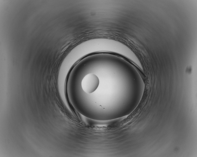 X0000090610560200707241109