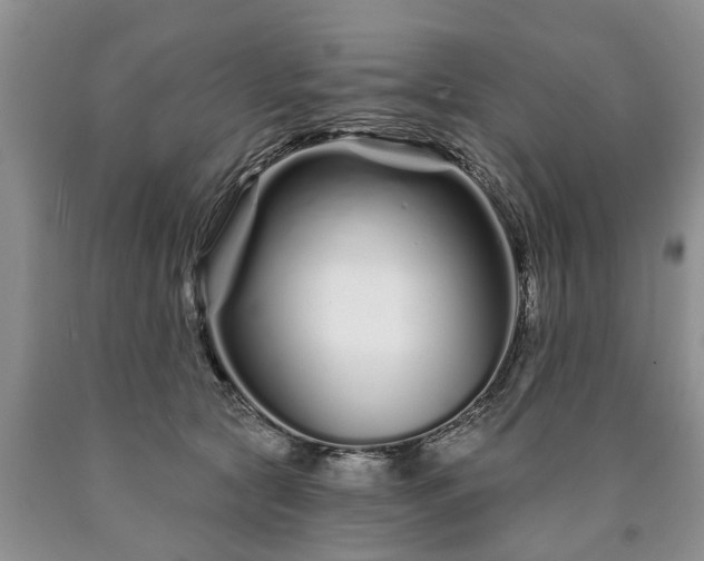 X0000090610561200707241109