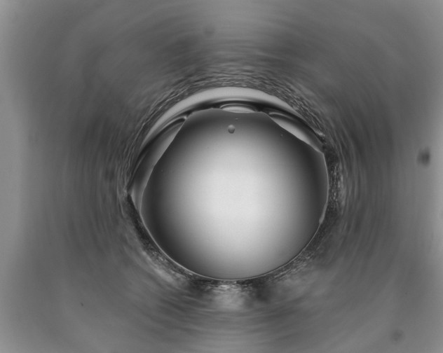 X0000090610562200707241109