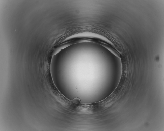 X0000090610563200707241109