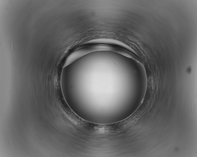 X0000090610564200707241109