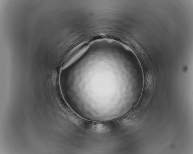 X0000090610565200707241109