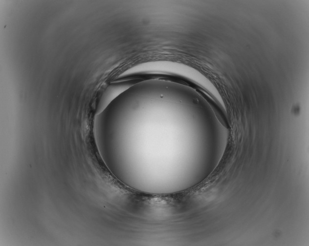 X0000090610566200707241109