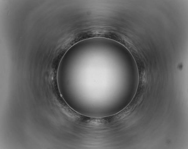 X0000090610567200707241109