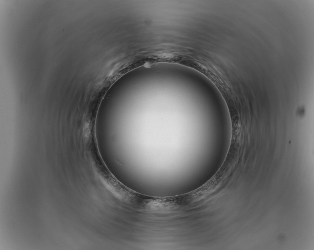 X0000090610568200707241109