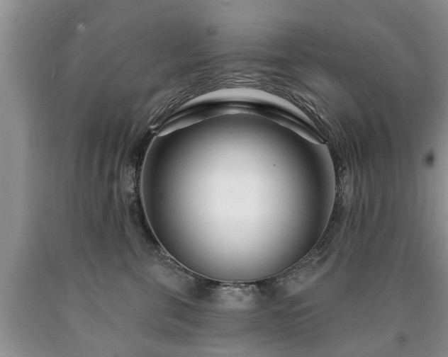 X0000090610571200707241109