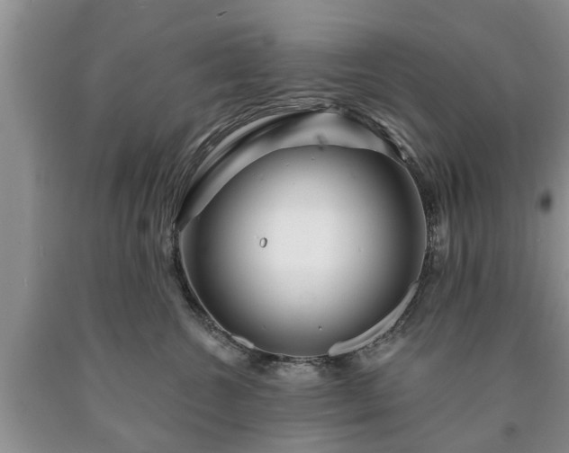 X0000090610572200707241109