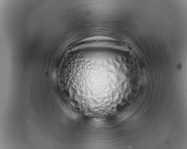 X0000090610573200707241109