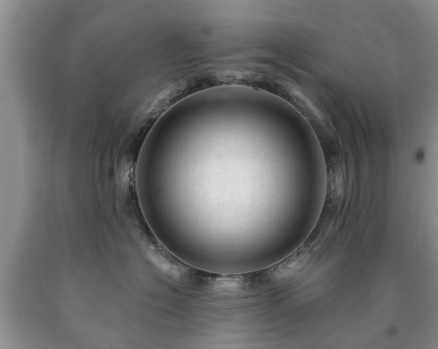 X0000090610574200707241109