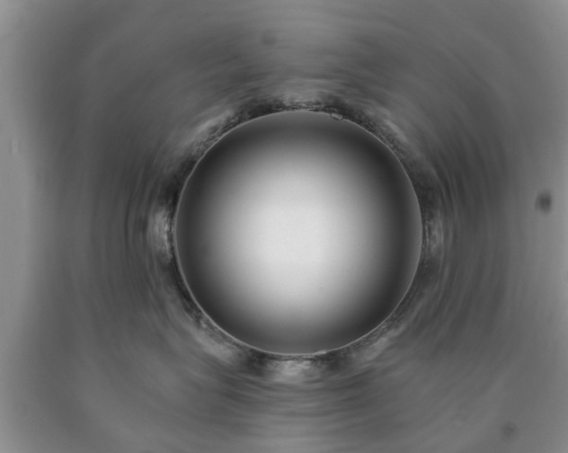 X0000090610575200707241109