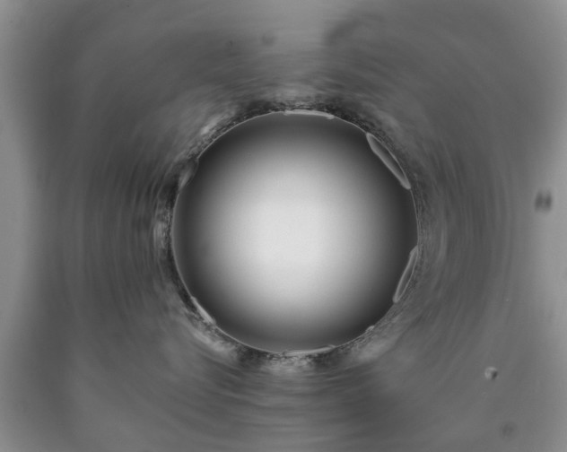 X0000090610576200707241109