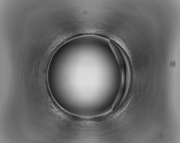 X0000090610577200707241108