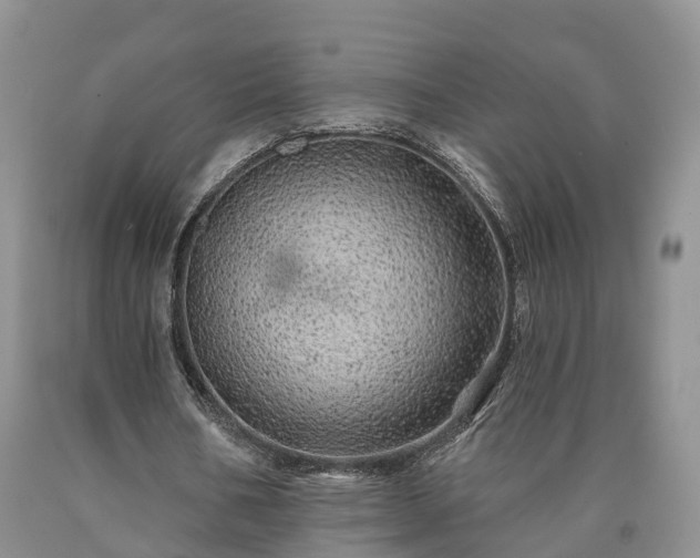 X0000090610578200707241108