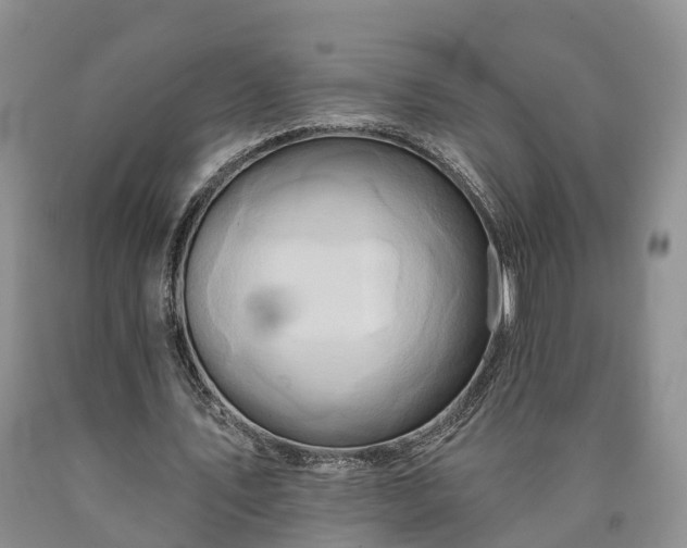 X0000090610579200707241108