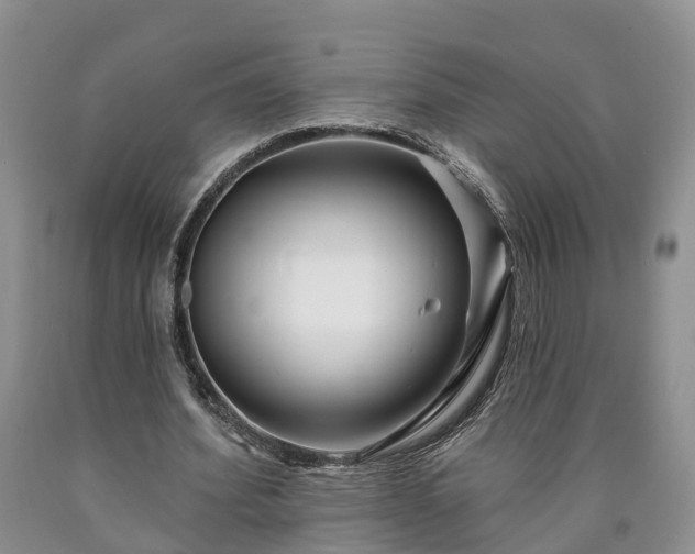 X0000090610580200707241108