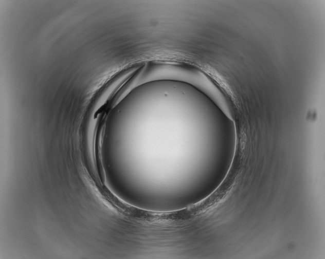 X0000090610581200707241108