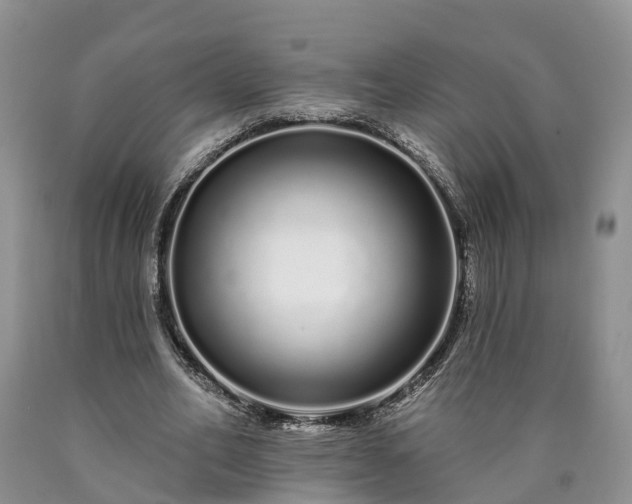 X0000090610582200707241108