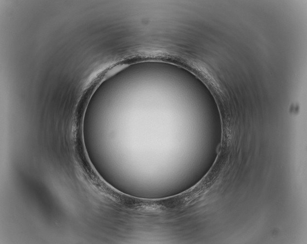 X0000090610583200707241108