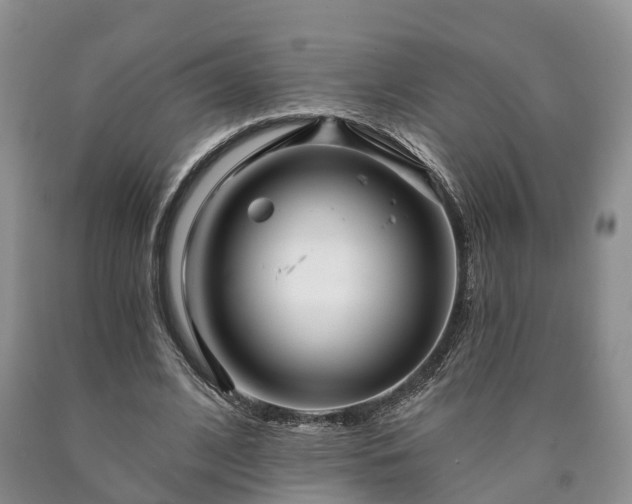 X0000090610584200707241108