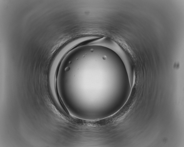 X0000090610585200707241108