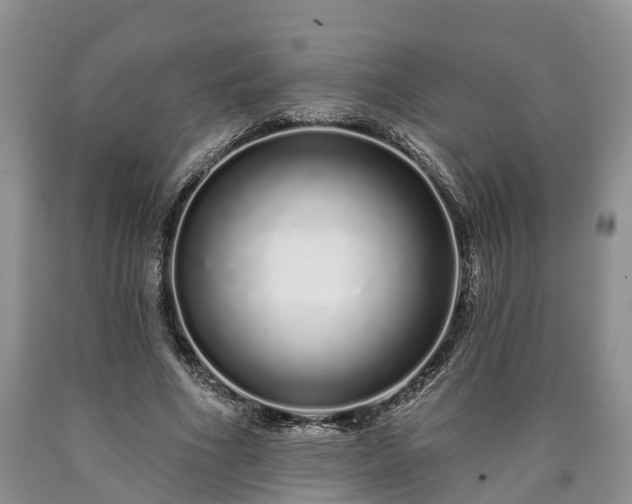 X0000090610586200707241108